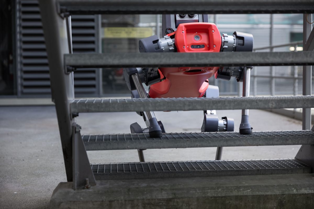 Anymal robot climbing stairs